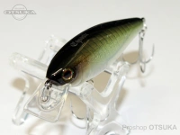  ジャッカル チャブル 