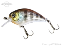  ジャッカル マッシュボブ 