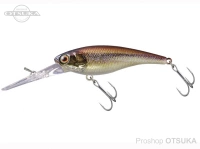  ジャッカル ソウルシャッド 