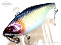  ジャッカル TN/50 