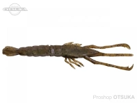  ジャッカル ネコシュリンプ 