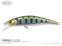  ティモン トリコロール 