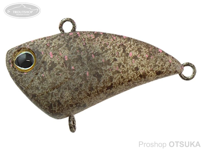 プラグ ティモン