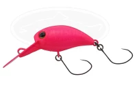  ティモン キビパニ MR