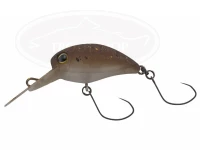  ティモン キビパニ MR