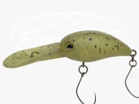  ティモン パニクラダッシュ DDR