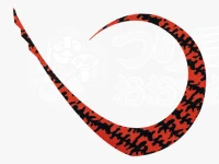 ジャッカル ビンビン玉 - マスターカーリー ストロング #F0187　シマシマレッド 厚さ0.9mm