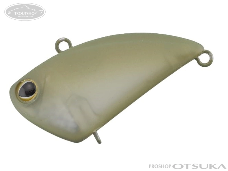 プラグ ティモン