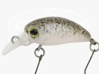  ティモン マイクロパニクラ MR-F ラトル