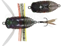  デュオ レアリス 小真虫 