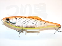  デュオ ラフトレイル 