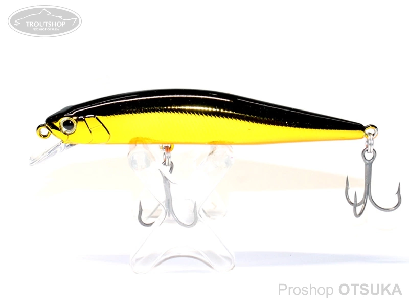 ２　ICHTHYIC イクシーク　ソルトウォータープロフェッショナル 2 ICHTHYIC イクシーク ソルトウォータープロフェッショナル ICHTHYIC