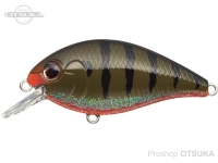  エバーグリーン コンバットルアーズ 