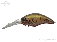  エバーグリーン ワイルドハンチ 