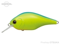  エバーグリーン ゼルク 