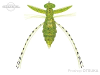  エバーグリーン ギズモ 