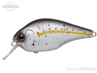  エバーグリーン ゼルク 