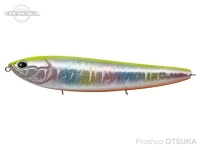  エバーグリーン アマゾン 