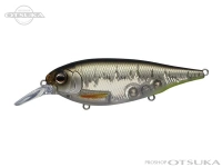  エバーグリーン MO-DO 