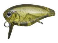  エバーグリーン キラーバグ 