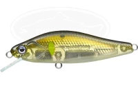  エバーグリーン ネルメッツォ 