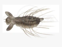  エバーグリーン フラッターギズモ 