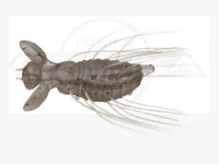  エバーグリーン フラッターギズモ 