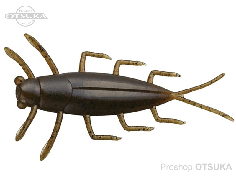 エバーグリーン ゲジー ゲジー 1.8インチ 1.8インチ Feco エコタックル認定 #01 グリーンパンプキン・BK