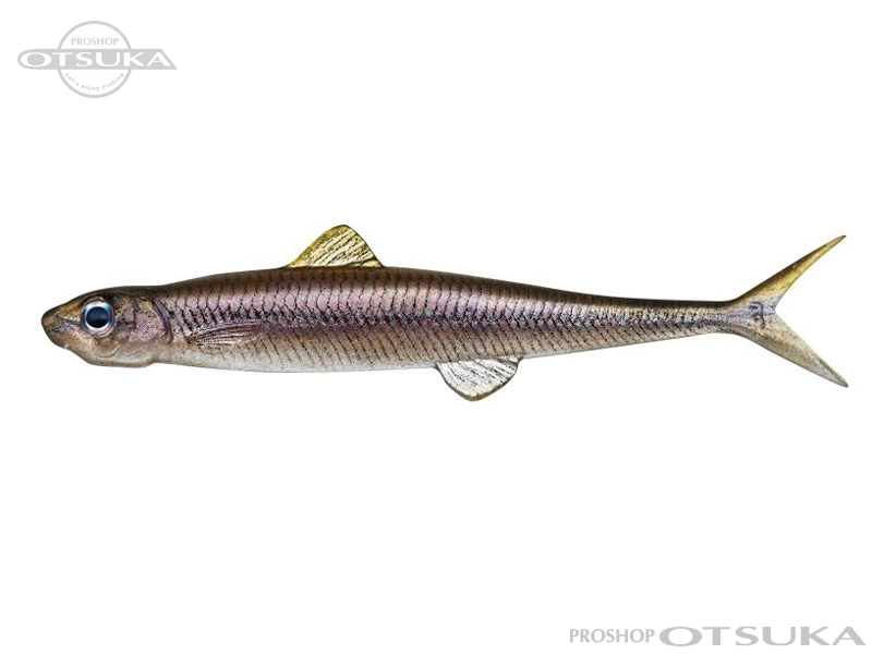 エバーグリーン ラストエース ラストエース80F 80mm フローティング(エラストマー素材) #138 ネオンワカサギ