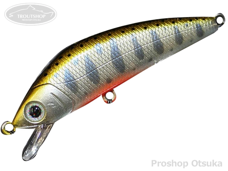 Forest Eye Fish