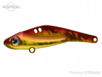  アイマ シュナイダー 