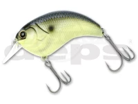  デプス イヴォーク 