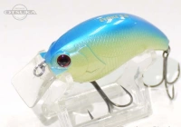  デプス イヴォーク 