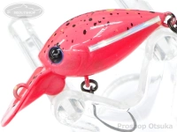  ディスプラウト チャタクラ 