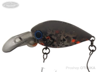  ディスプラウト チャタクラ 