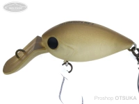  ディスプラウト チャタクラ 