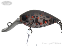  ディスプラウト チャタクラ 