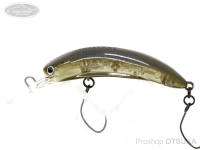  ディスプラウト ガメクラ 