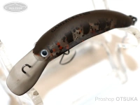  ディスプラウト ガメクラ 