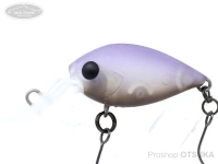  ディスプラウト チャタクラ 