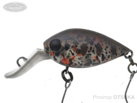  ディスプラウト チャタクラ 