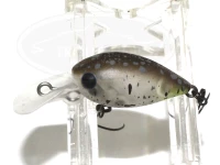  ディスプラウト チャタクラ 