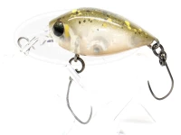  ディスプラウト チャタクラ 