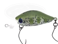  ディスプラウト リタ 