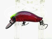  ディスプラウト イーグルプレーヤー ピコ・F G2