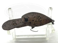  ディスプラウト チャタクラ 