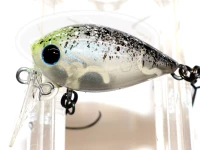  ディスプラウト アッパーレブ 