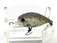  ディスプラウト クラピー 