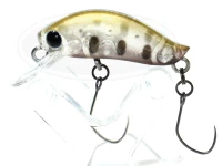  ディスプラウト イーグルプレーヤー 