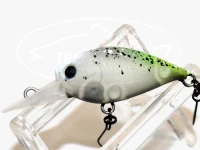  ディスプラウト クラピー ディープG2 ディスプラウト